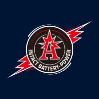 intAct Battery Check